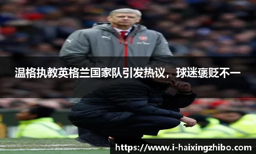 海星体育在线直播