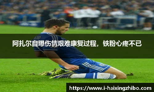 海星体育在线直播