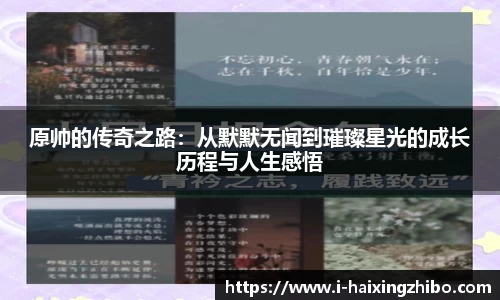 海星体育直播
