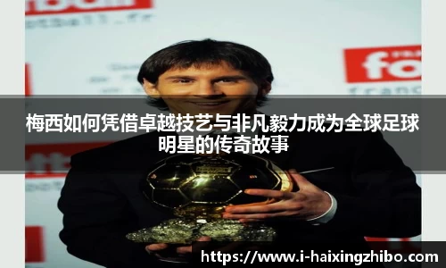 海星体育官网