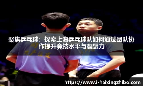 海星体育在线直播